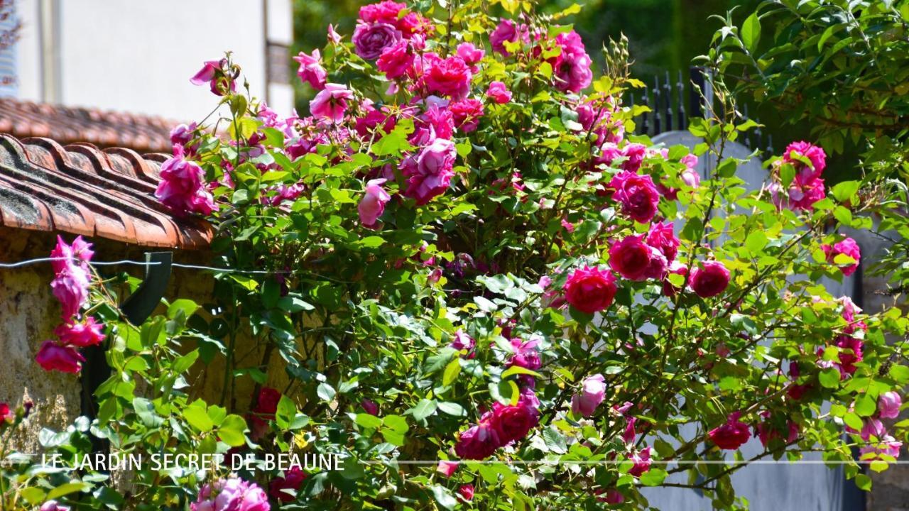 Le Jardin Secret De Beaune 본느 외부 사진